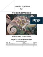 Reptilia Chamaelionidae Chamaeleo Calyptratus Veiled Chameleon 2015SD V 1