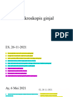 Mikroskopis Ginjal