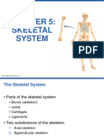 Chapter 5 Skeletal System