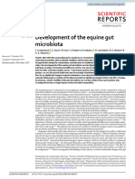 Development of The Equine Gut Microbiota