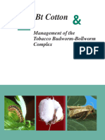 Different BT Cotton