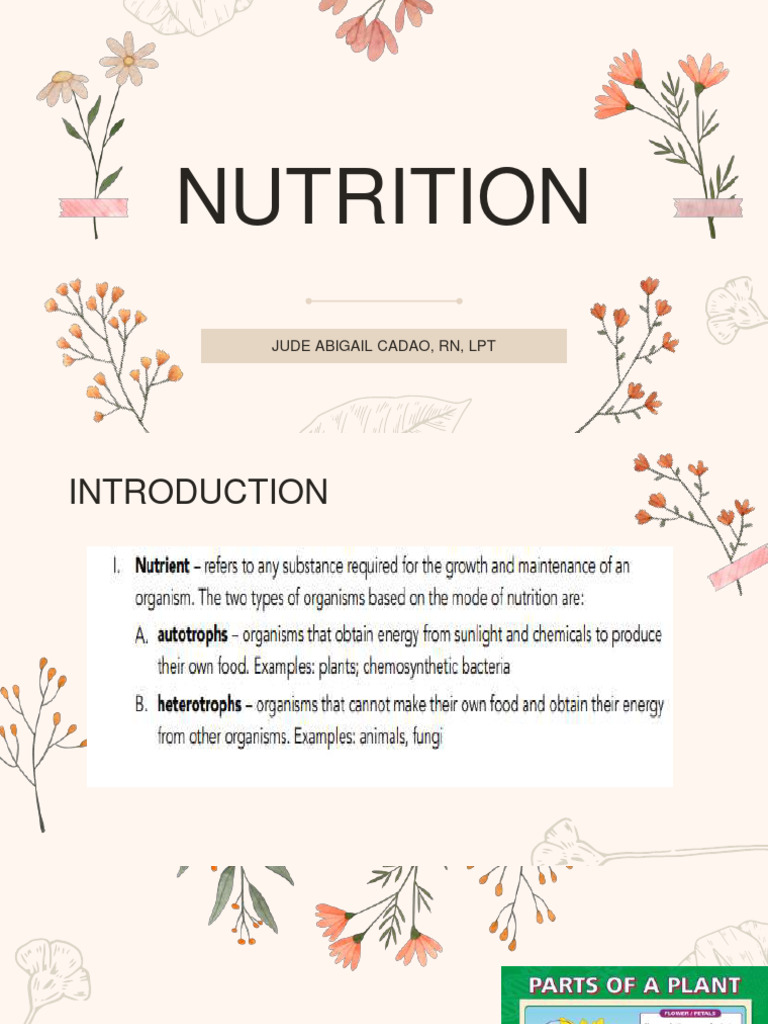 Nutrition PDF Tissue (Biology) Eukaryotes