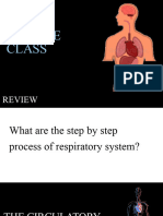 Grade 9 Circulatory 1