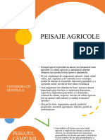 Peisaje Agricole