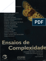 Gustavo de Castro, Edgar Morin, Frei Betto, Leonardo Boff - Ensaios de Complexidade-Sulina (1997)