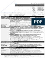 Audit CV PDF