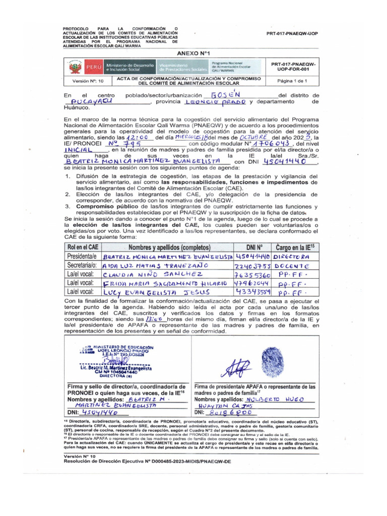CAE 2024 PDF