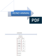 REINO ANIMAL (Invertebrados