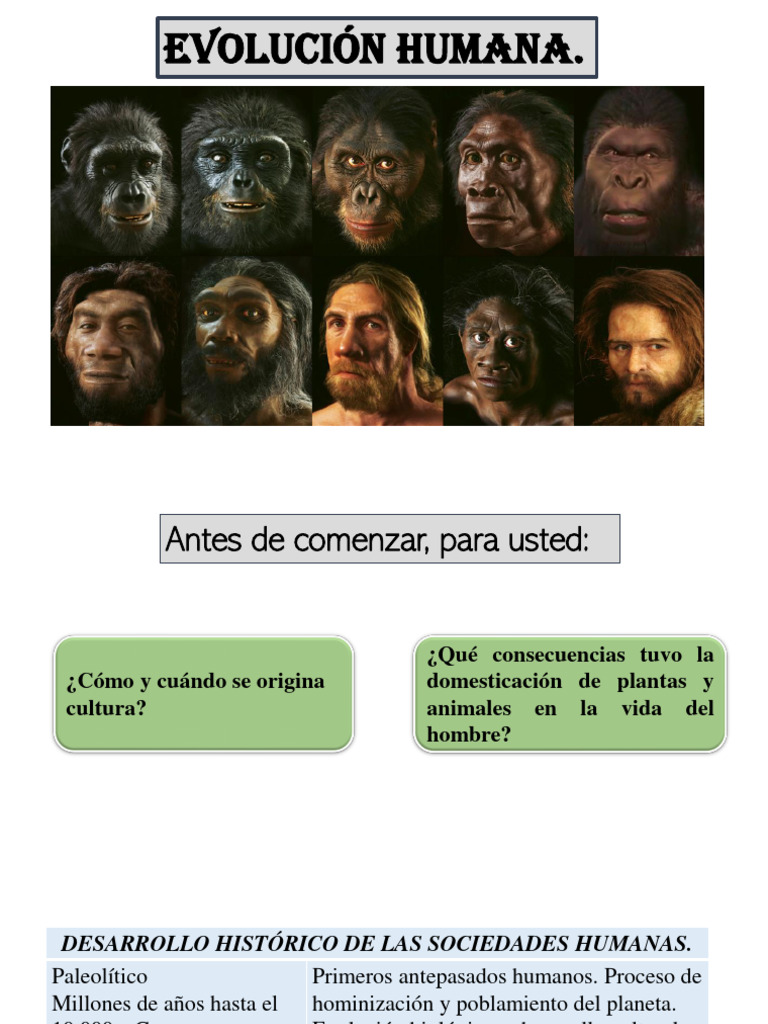 Tema 2 Evolucion Del Hombre | PDF | Homo | Evolución humana