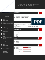 Nanda Marini: Curriculum Vitae