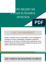 Ciee PDF