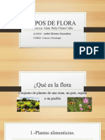 Tipos de Flora