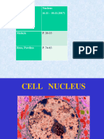 Lec 08 Nucleus