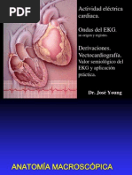 Download 2 Vectocardiografia by Goku Vegeta SN68441902 doc pdf