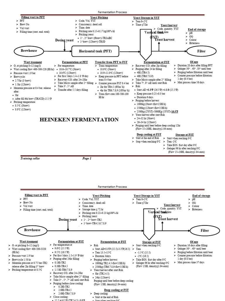 Fermentation Process Overview | PDF | Brewing | Beer