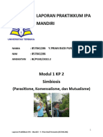 Lap. 2 - Simbiosis (Mandiri)