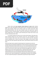 Download Siklus Nyamuk Anopheles by Dhita Andini SN68442078 doc pdf