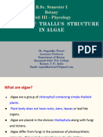 Range of Thallus Structure in Algae 3