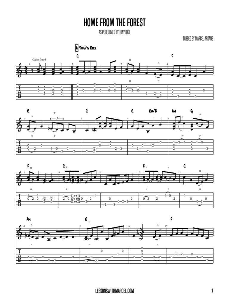 Tony Rice Home From The Forest Adv Sheet Music and Tabs | PDF