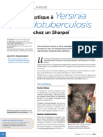 Cas Clinique de Choc Septique Pseudotuberculeux Chez Un Sharpei