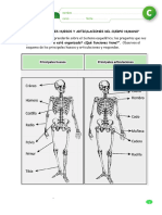 Guia de Trabajo El Cuerpo Humano4°