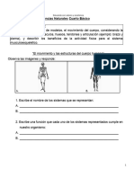 GUIA DE REPASO DE CIENCIAS 4°cuerpohumano