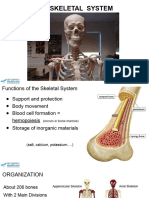 CH 07 The Skeletal System