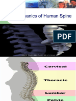 Biomechanics of Human Spine