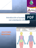 Generalidades de Anatomia