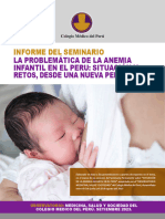 Informe Del Seminario Sobre Anemia Infantil