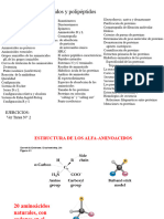 Aminoácidos y Polipéptidos - Bioquimica