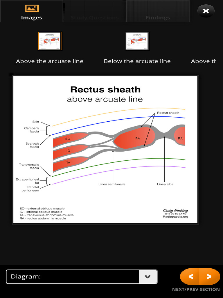 Radiology Quiz 67538 PDF