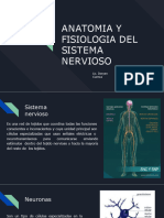 523369620-Anatomia-y-Fisiologia-Del-Sistema-Nervioso