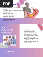 Procedimiento de Panendoscopia: Guía Completa | PDF | Medicina CLINICA ...