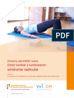 KNGF Guide On Low Back Pain Practice Guidelin
