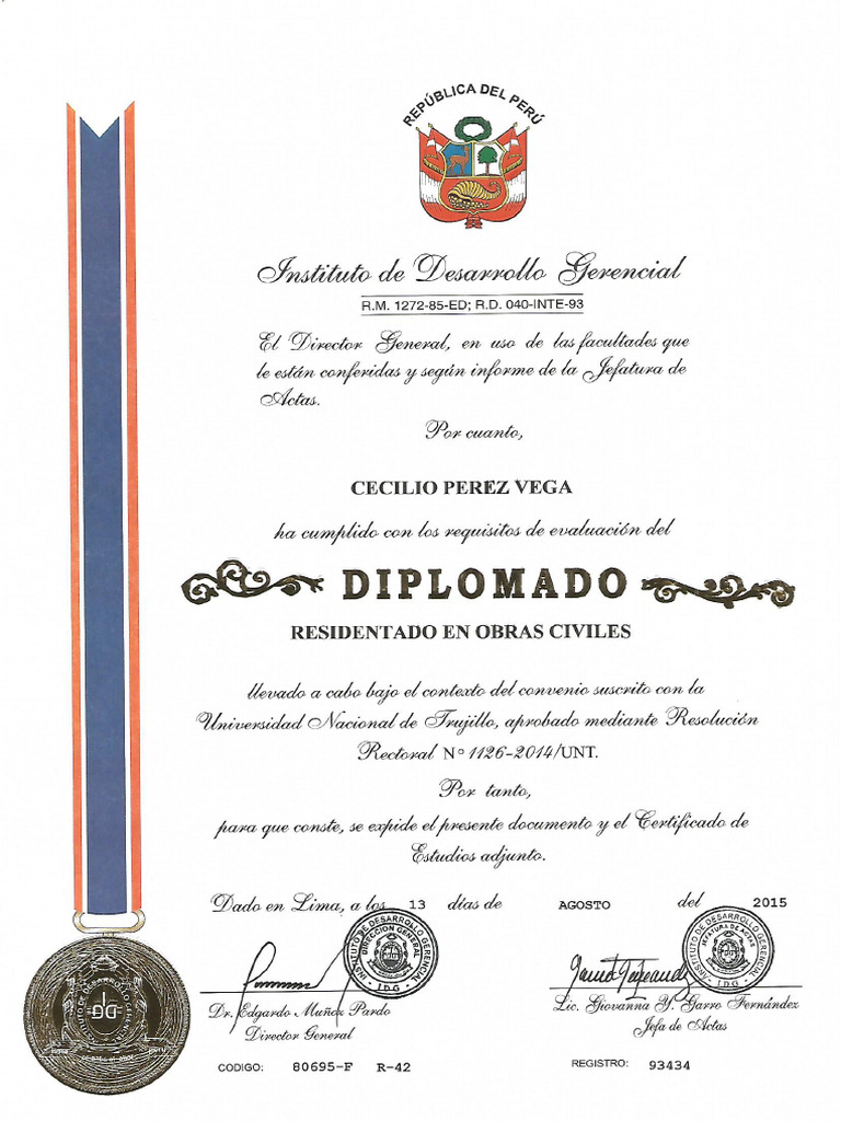 N°2 Diplomados y Diplomas | PDF