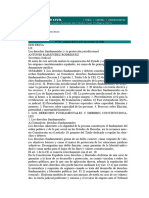 Derechos Fundamentales y Protección Constitucional