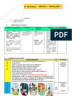 C y T - 021123 - Actividades Del Dia y Noche