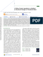 Effect of Processing of Whey Protein Ingredient On Maillard