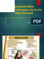 Semiologia Del Sindrome Biliar - Dr. Rodney Diaz