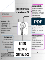 Grafico Mapa Conceptual Creativo Multicolor