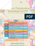 Prévenir L'intoxication Domestique Au Monoxyde de Carbone