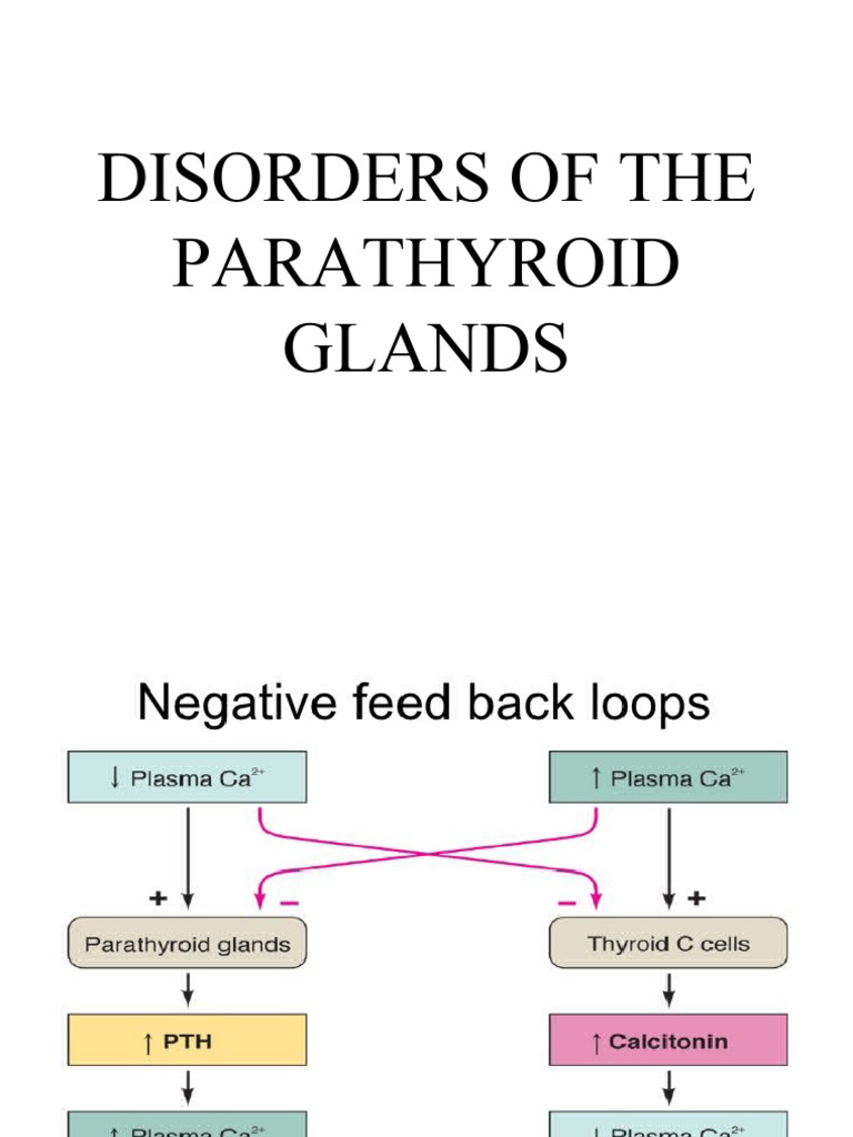 Disorders Of The Parathyroid Glands Pdf Parathyroid Gland Medical
