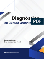 Tipos de Cultura Organizacional