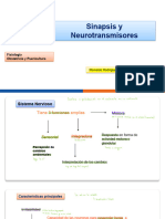 Sinapsis y Neurotransmisores