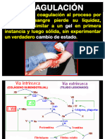 8 Bioquimica