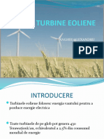 Turbine Eoliene P.W.