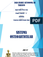 Presentación Sistema Osteoarticular