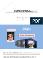 Controlo Postural - Perturbações Internas e Externas 1