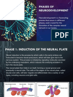 Biopsych, Neurodevelopment